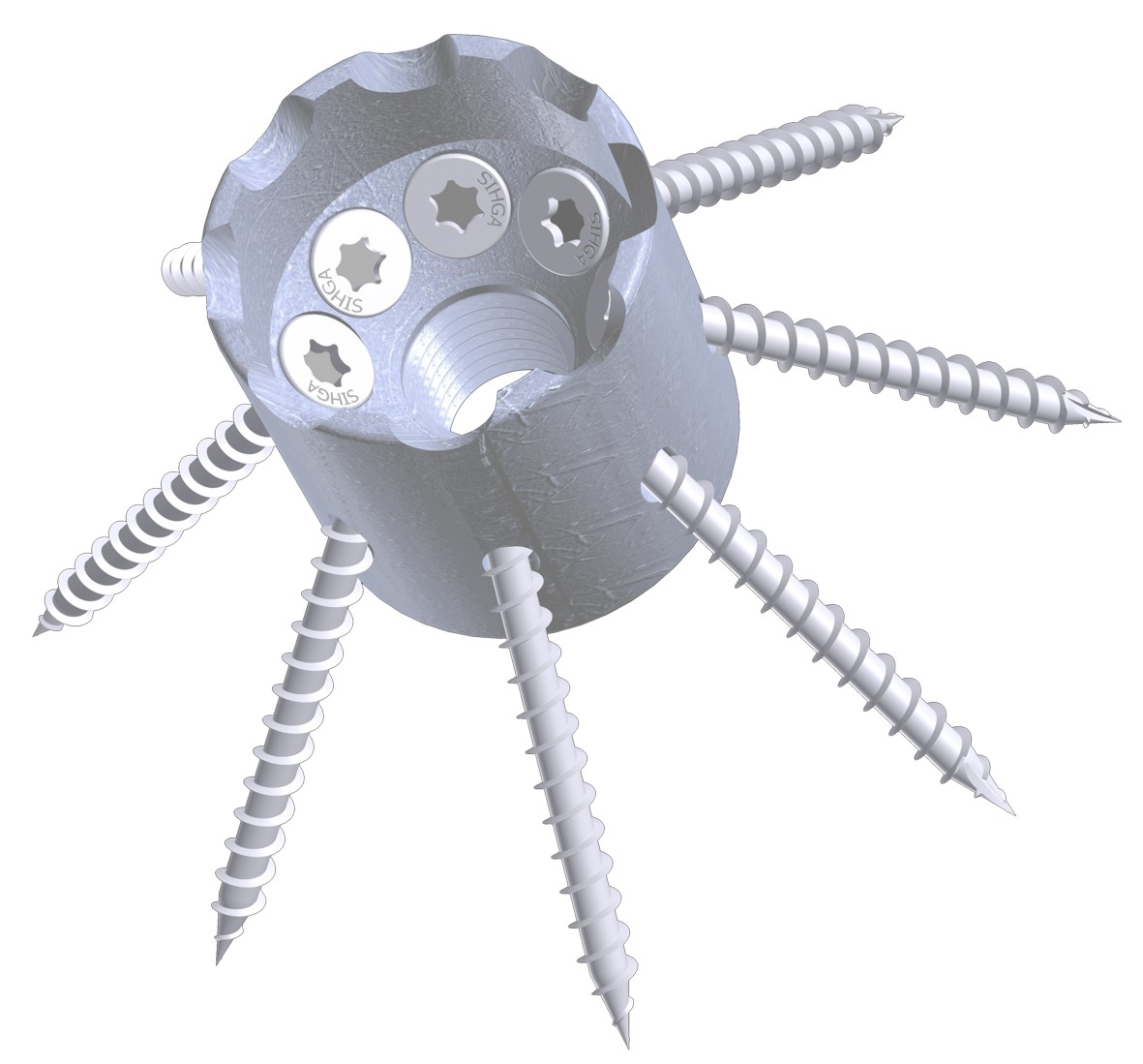 Hirnholzverbinder Spider
